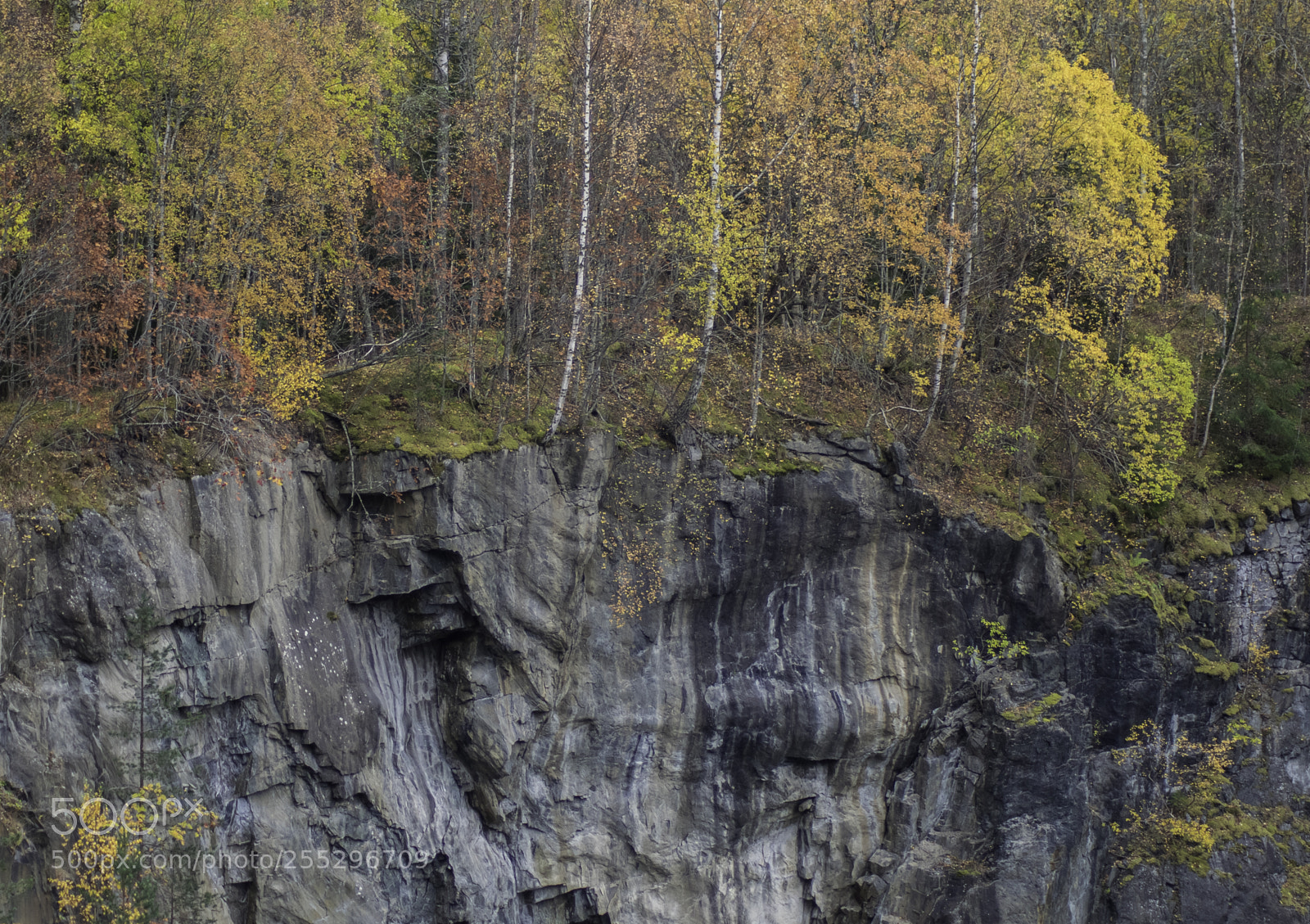 Nikon D5300 sample photo. Nature o photography