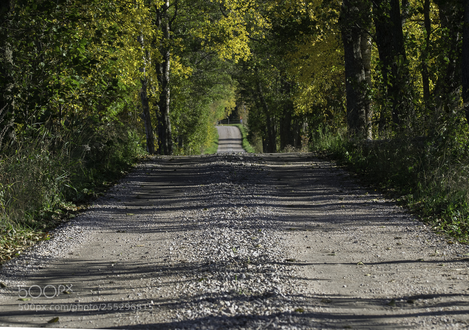 Nikon D5300 sample photo. Nature o photography