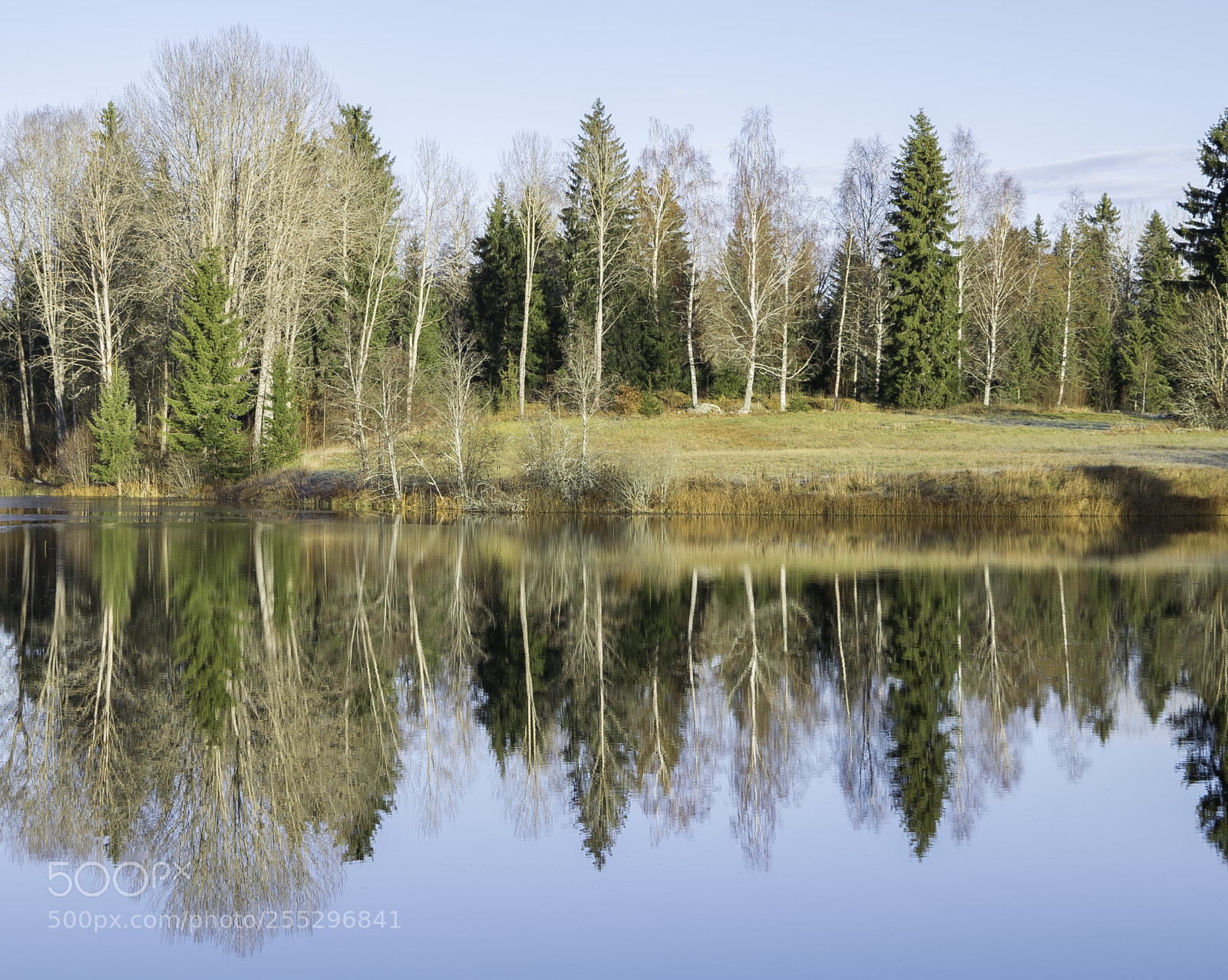 Nikon D5300 sample photo. Nature o photography