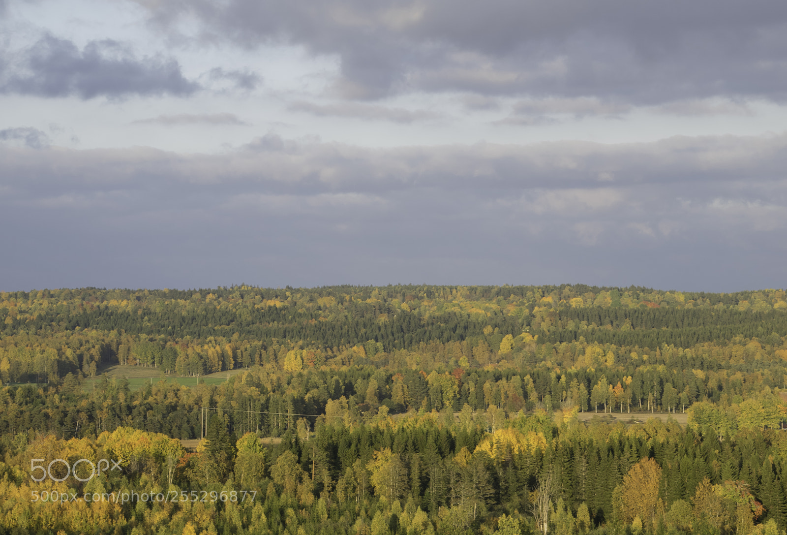 Nikon D5300 sample photo. Nature o photography