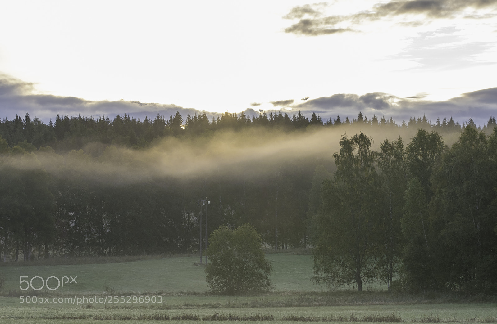 Nikon D5300 sample photo. Nature o photography