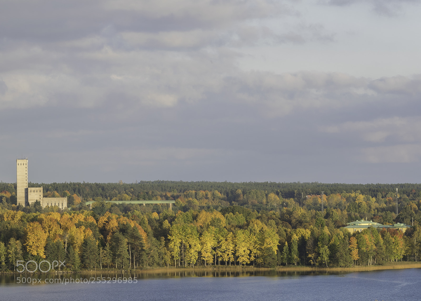 Nikon D5300 sample photo. Nature o photography