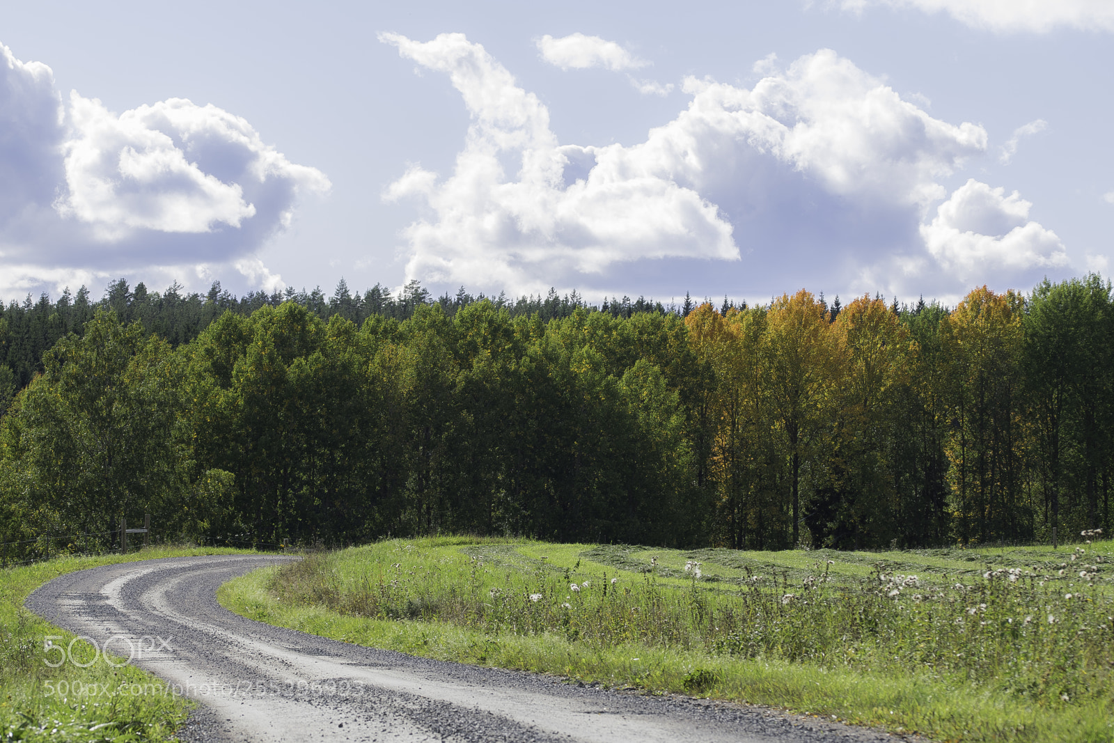 Nikon D5300 sample photo. Nature o photography