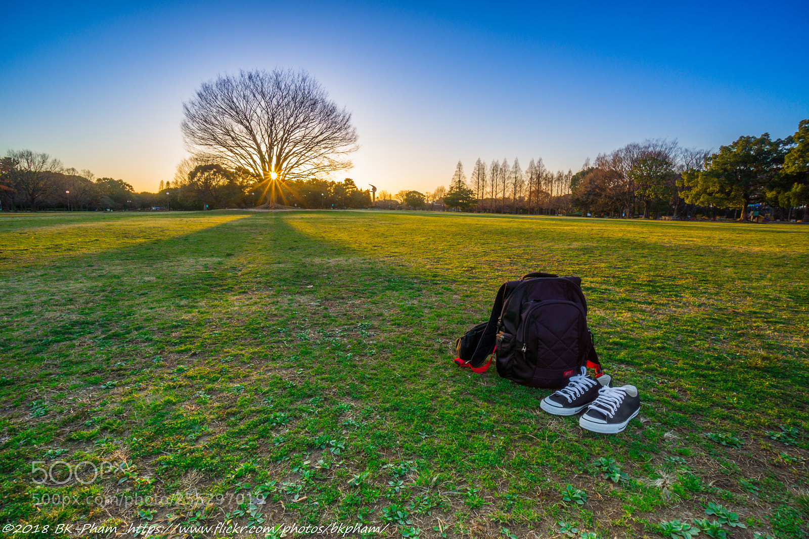 Sony a6000 sample photo. #sonya6000 #sel1018f4 photography