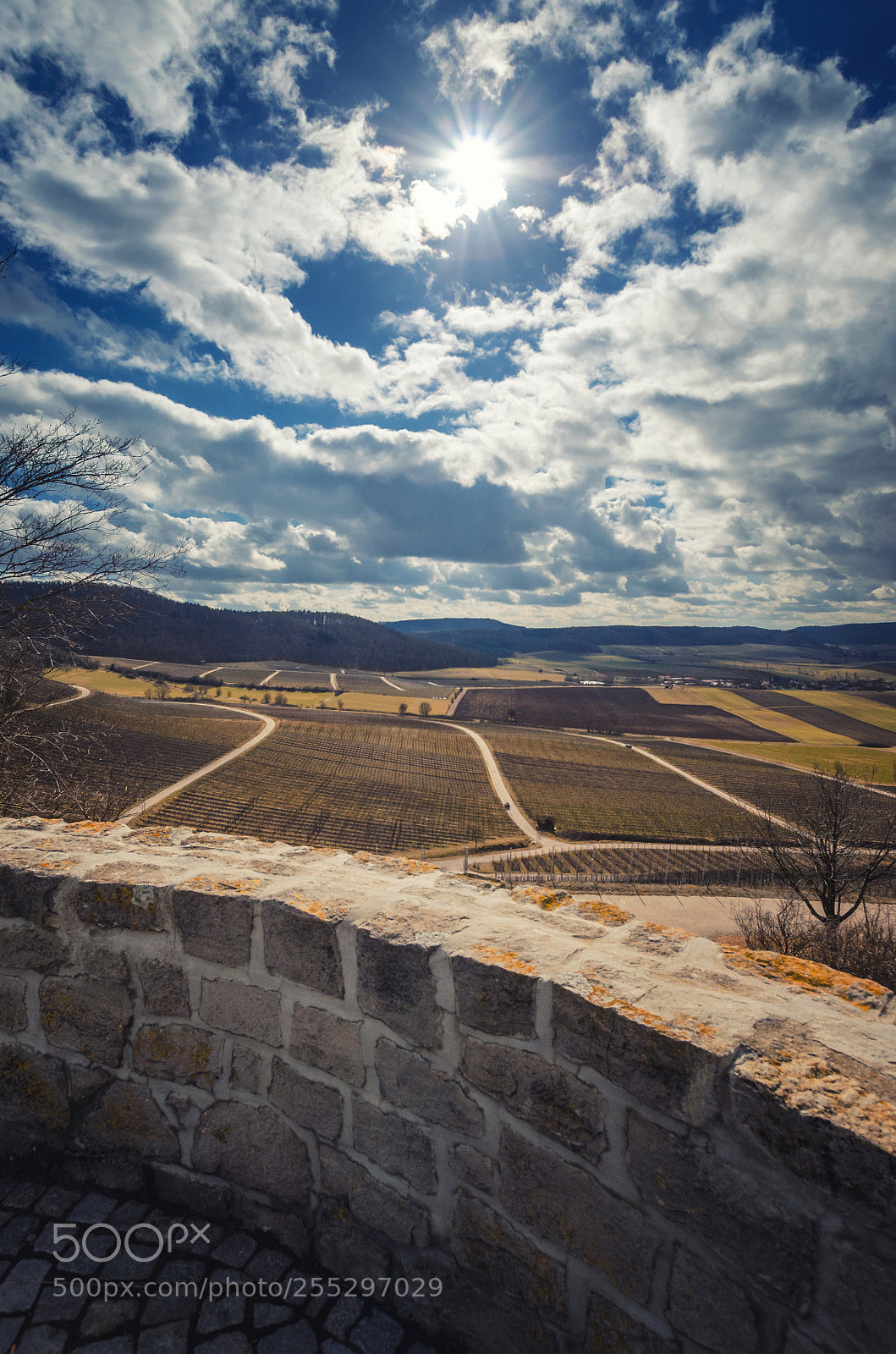 Nikon D5100 sample photo. Rural landscape view from photography