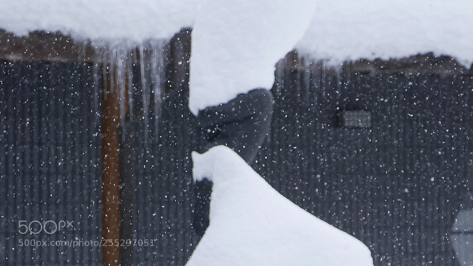 Leica D-Lux (Typ 109) sample photo. 那天下雪。。。 photography