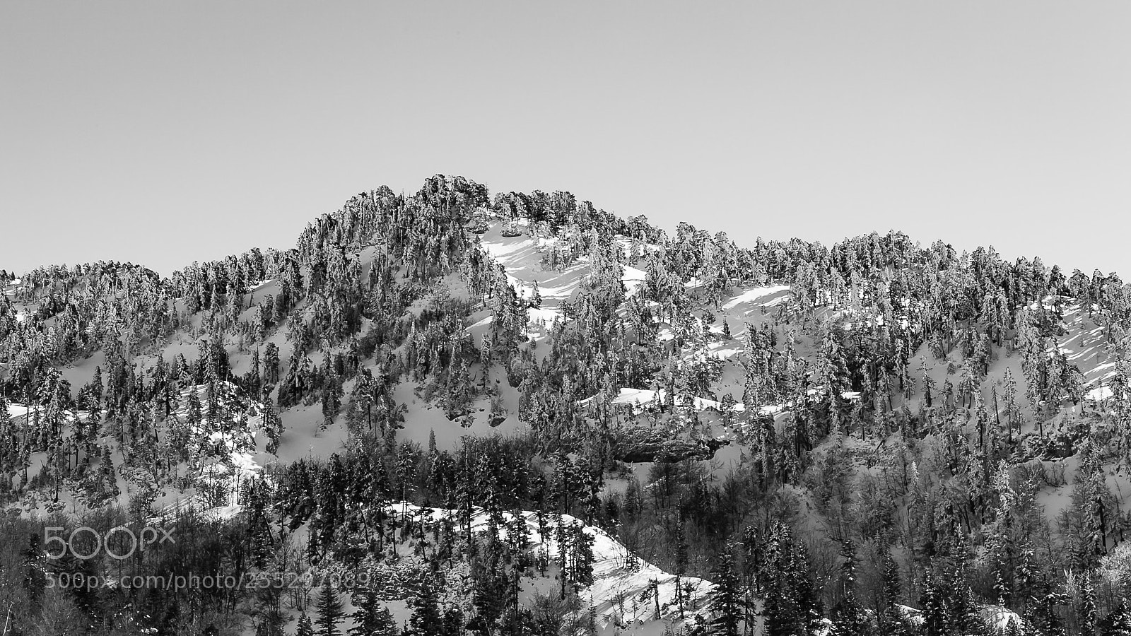 Canon EOS 5D Mark II sample photo. Belagua... navarra photography