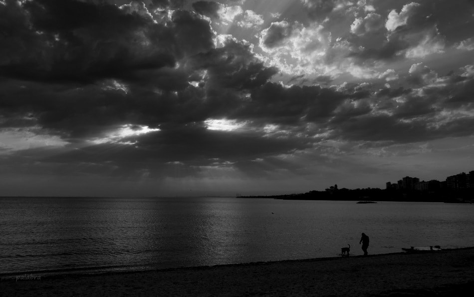 Samsung NX1 sample photo. ... photography
