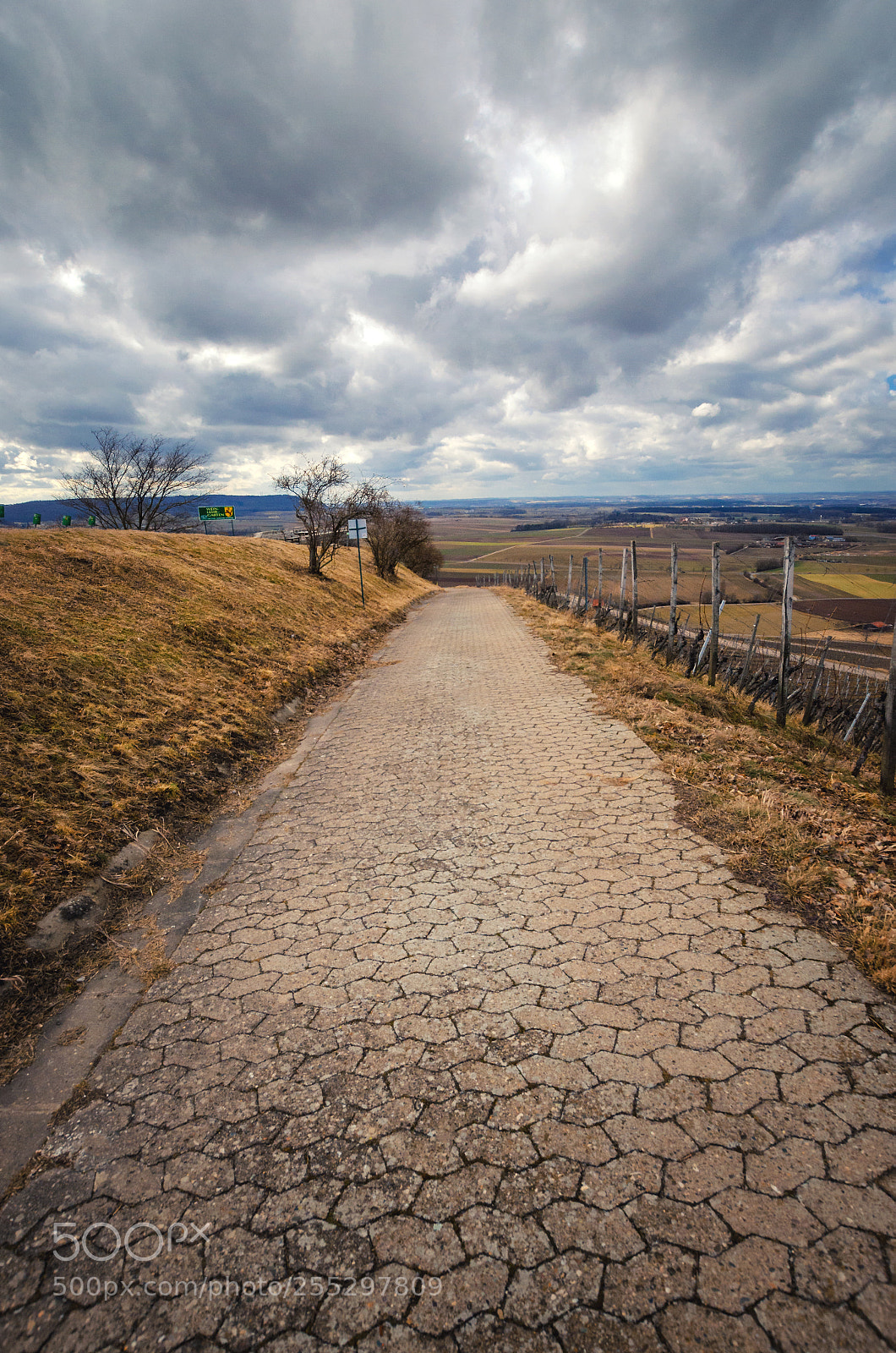Nikon D5100 sample photo. Rural landscape view from photography