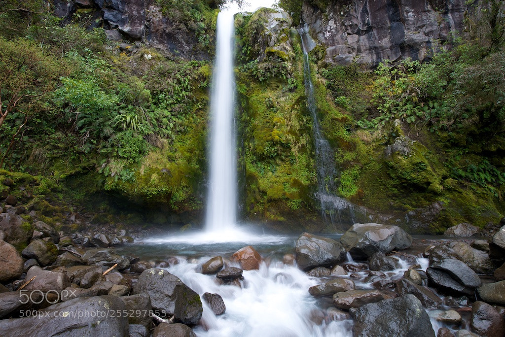 Nikon D600 sample photo. Taranaki photography