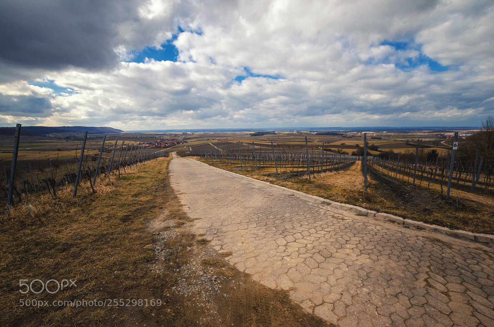 Nikon D5100 sample photo. Rural landscape view from photography