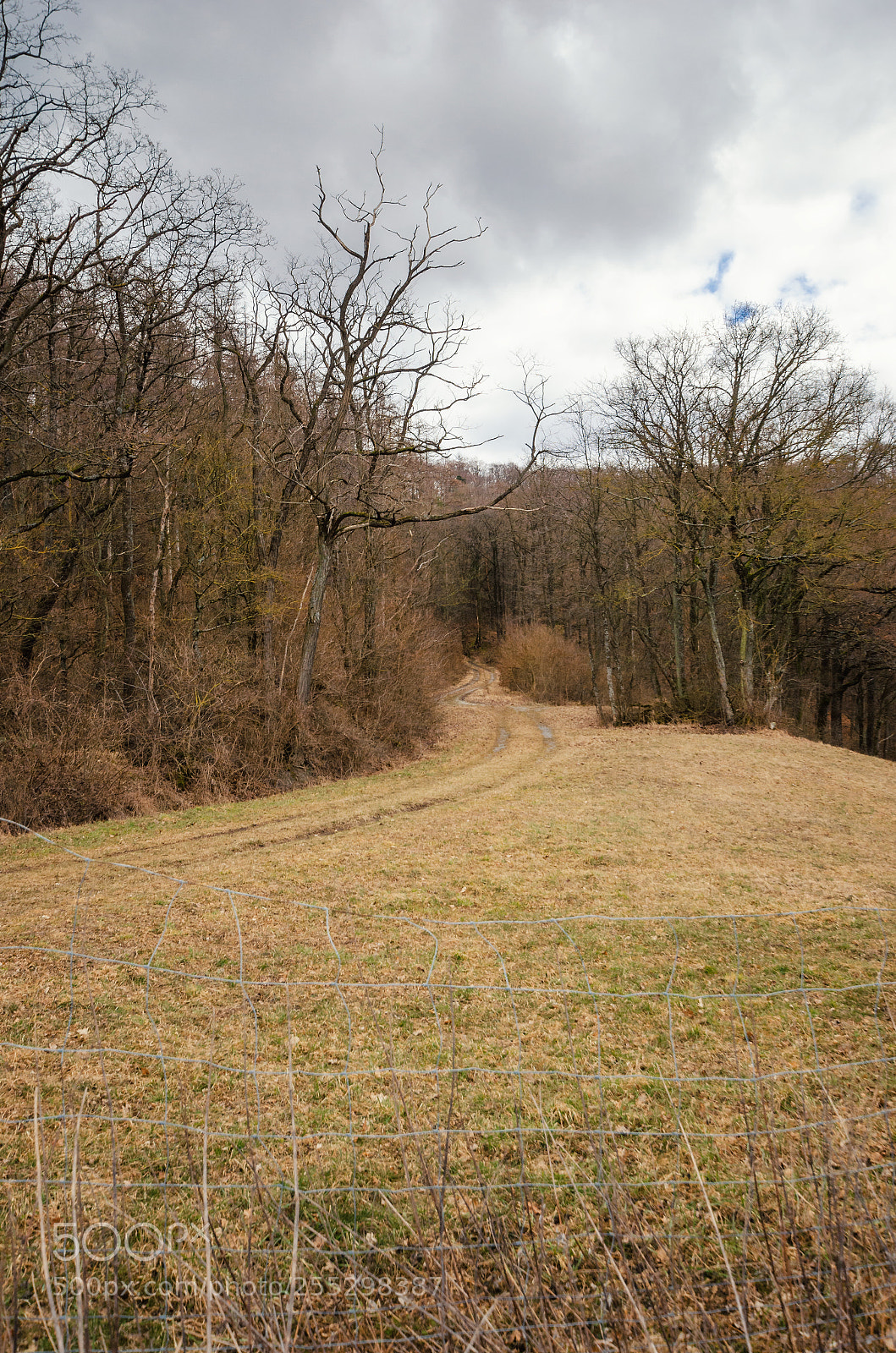 Nikon D5100 sample photo. Hiking dirt path in photography