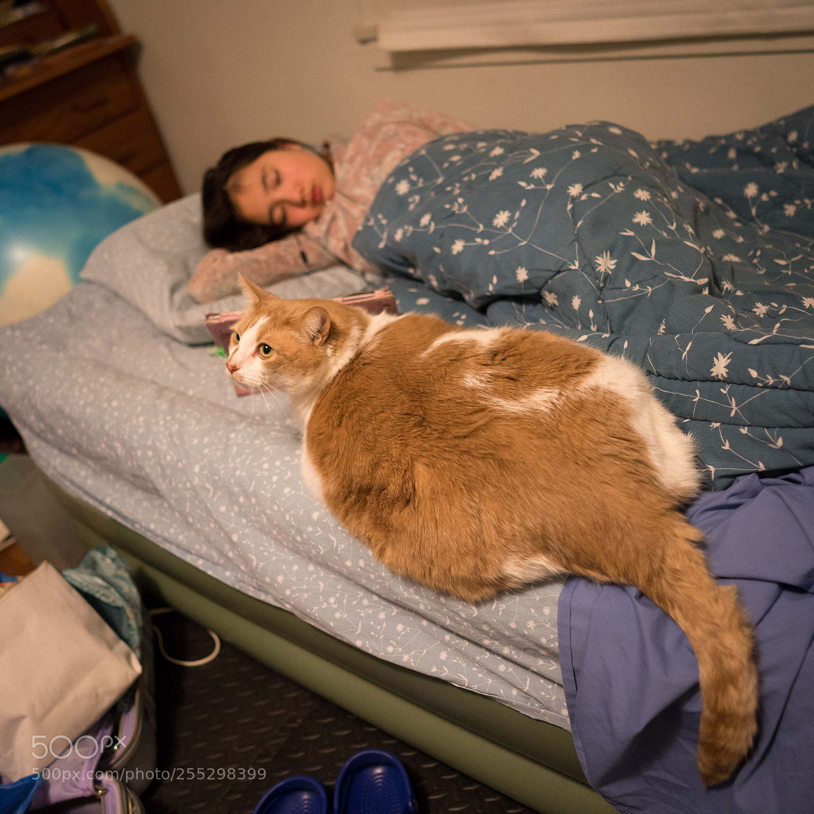 Sony a7R III sample photo. Archibald doesn't really fit photography