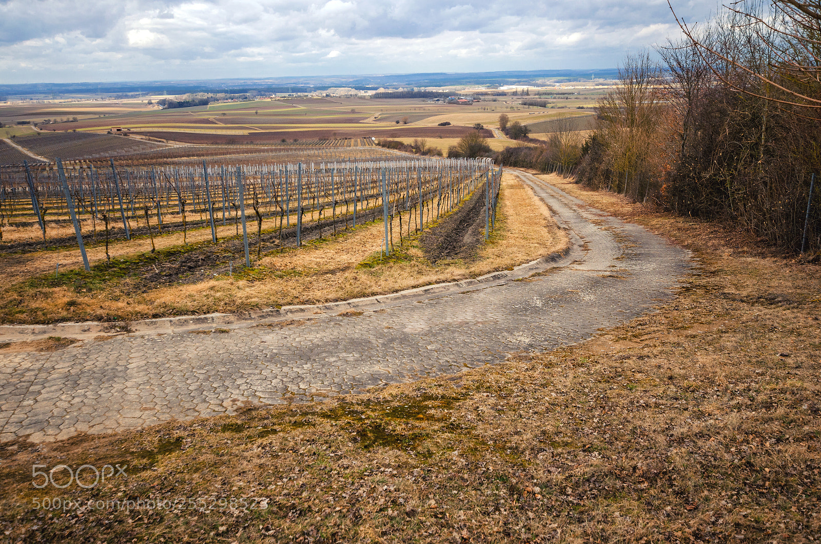 Nikon D5100 sample photo. Rural landscape view from photography