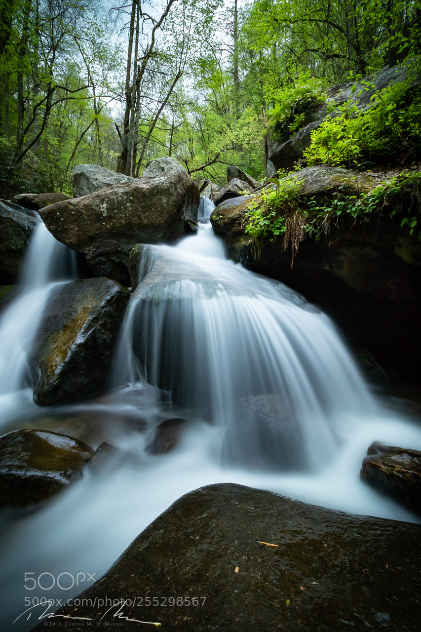 Canon EOS 80D sample photo. Cascading to the bottom photography