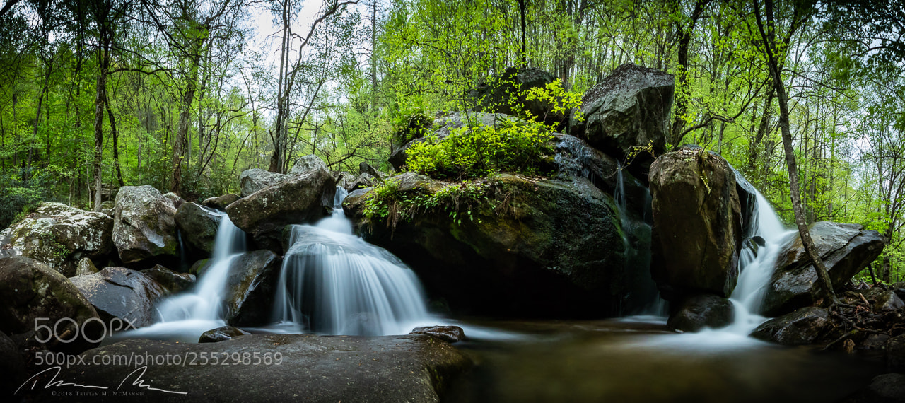 Canon EOS 80D sample photo. Panorama at the base photography