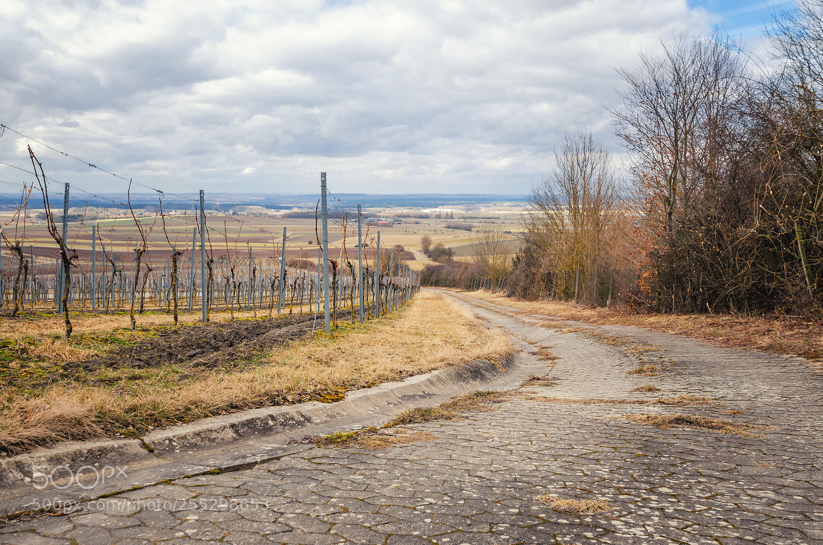 Nikon D5100 sample photo. Rural landscape view from photography