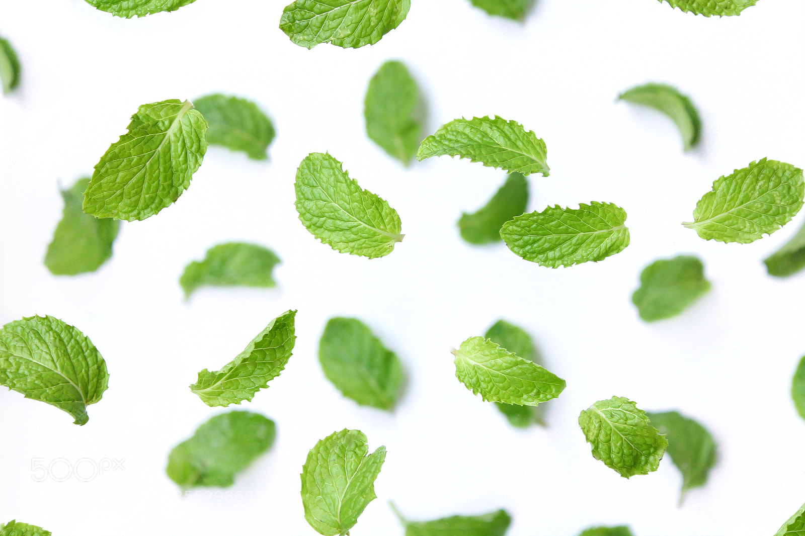 Canon EOS 1300D (EOS Rebel T6 / EOS Kiss X80) sample photo. Peppermint fresh leaf. photography