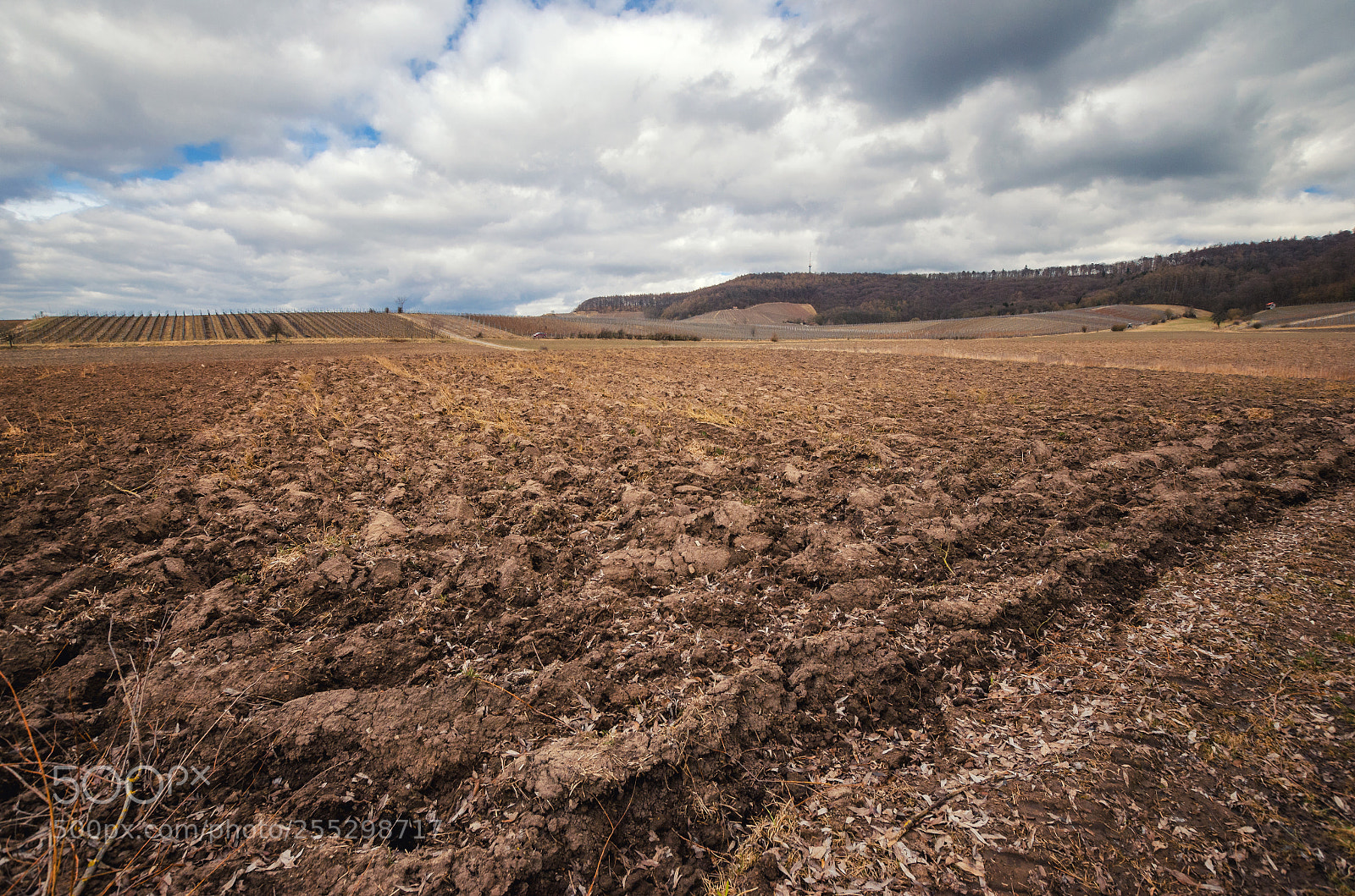 Nikon D5100 sample photo. Landscape view from the photography