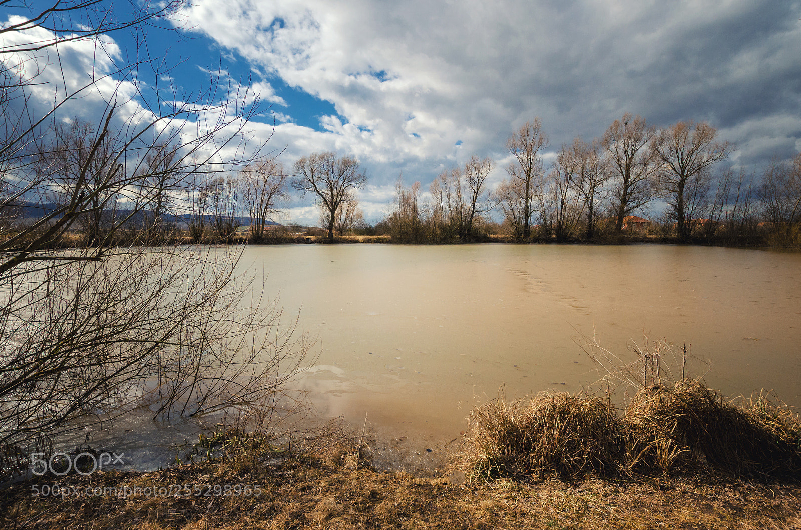 Nikon D5100 sample photo. Dirty small lake under photography