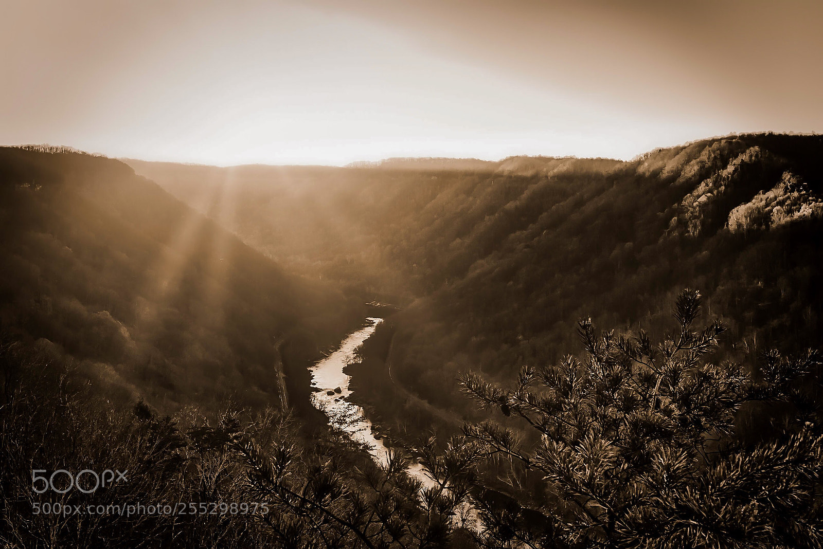 Nikon D5500 sample photo. New river gorge  photography