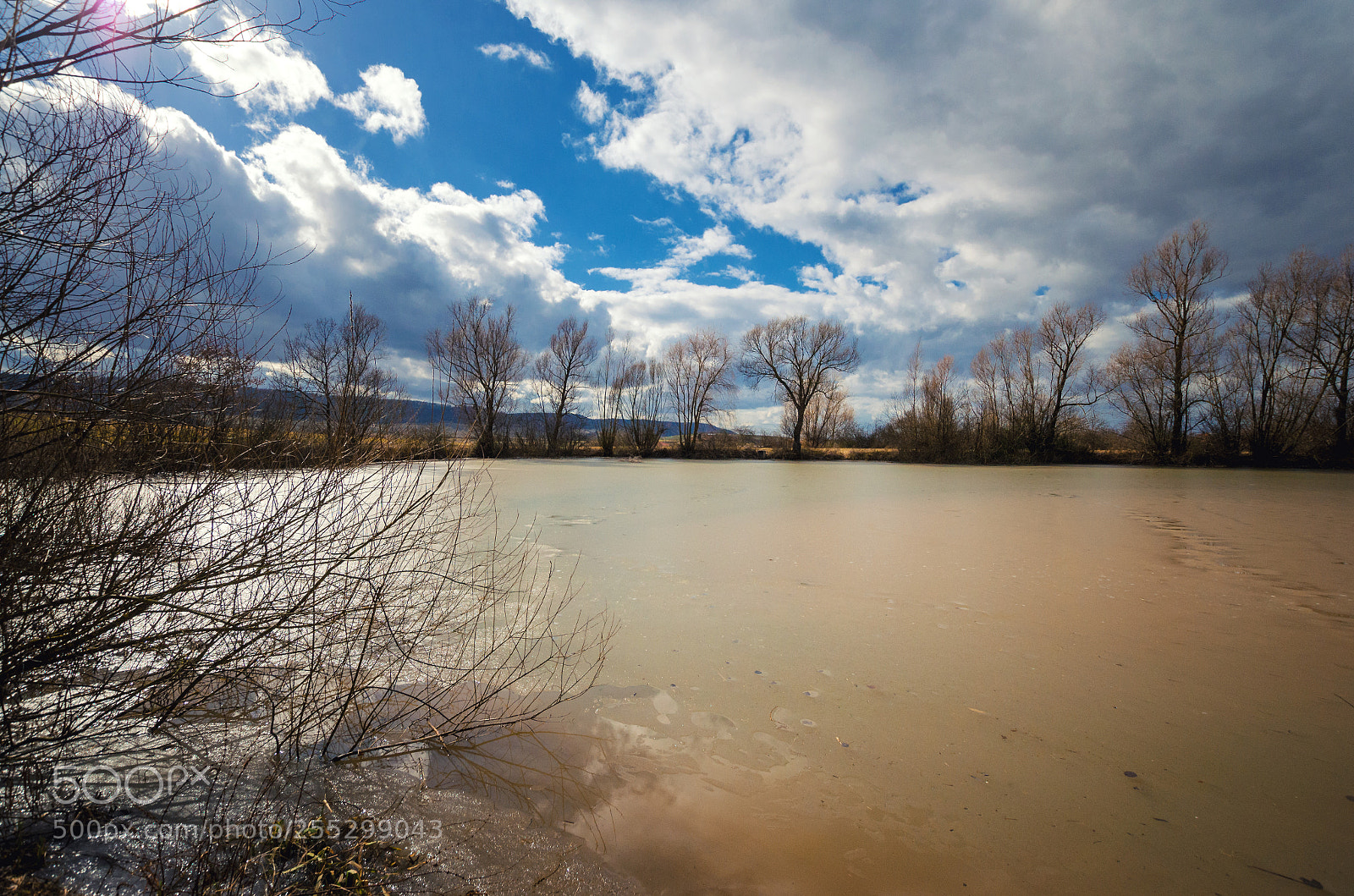 Nikon D5100 sample photo. Dirty small lake under photography