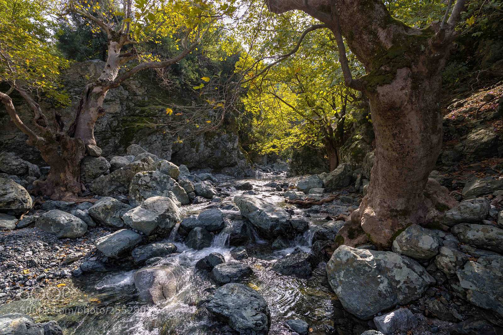 Nikon D600 sample photo. Cold stream. photography
