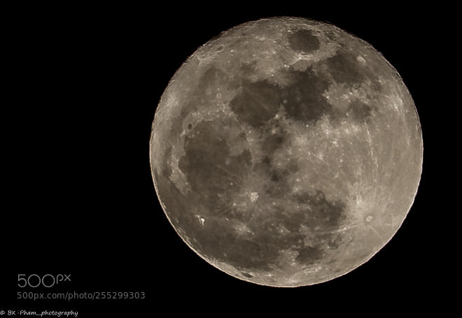 Sony a7 sample photo. #sonya7 #canon55-250mm photography