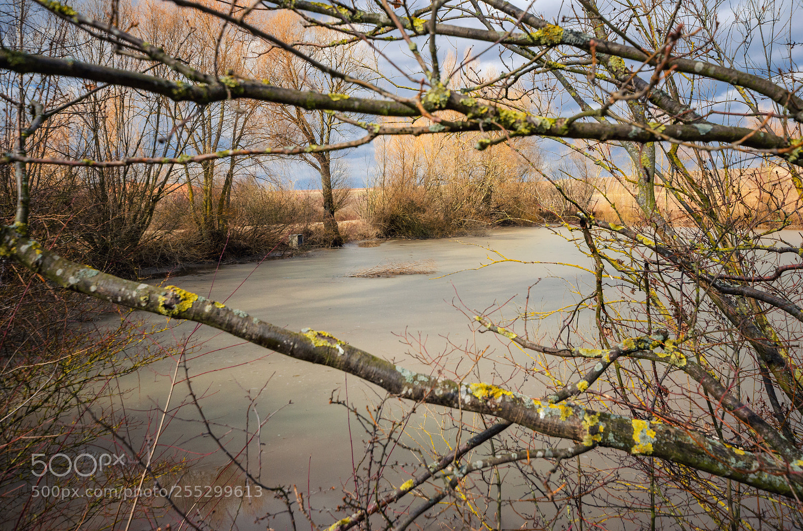 Nikon D5100 sample photo. Hidden lake behind the photography