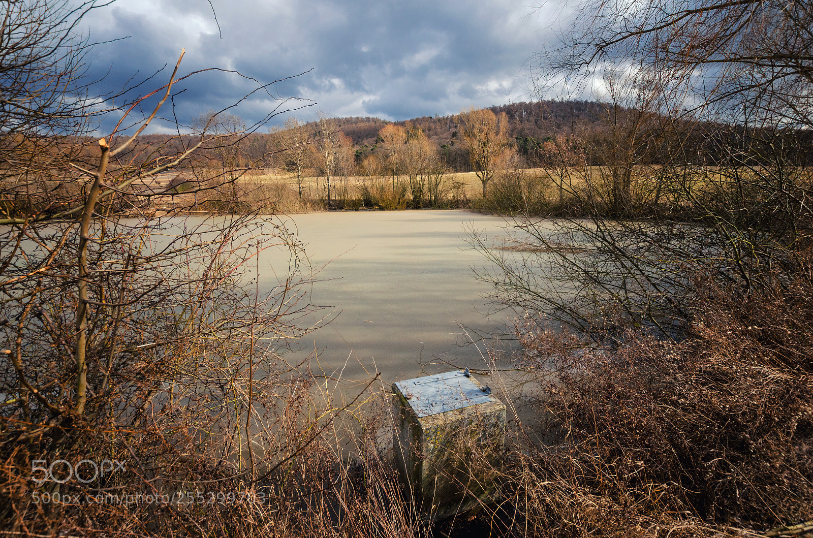Nikon D5100 sample photo. Hidden lake behind the photography