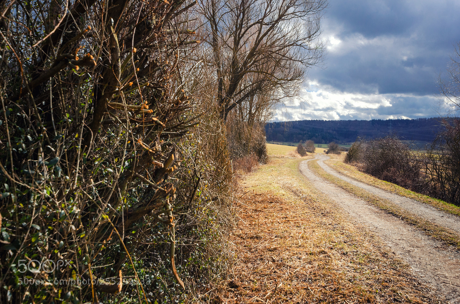 Nikon D5100 sample photo. Landscape view beside a photography