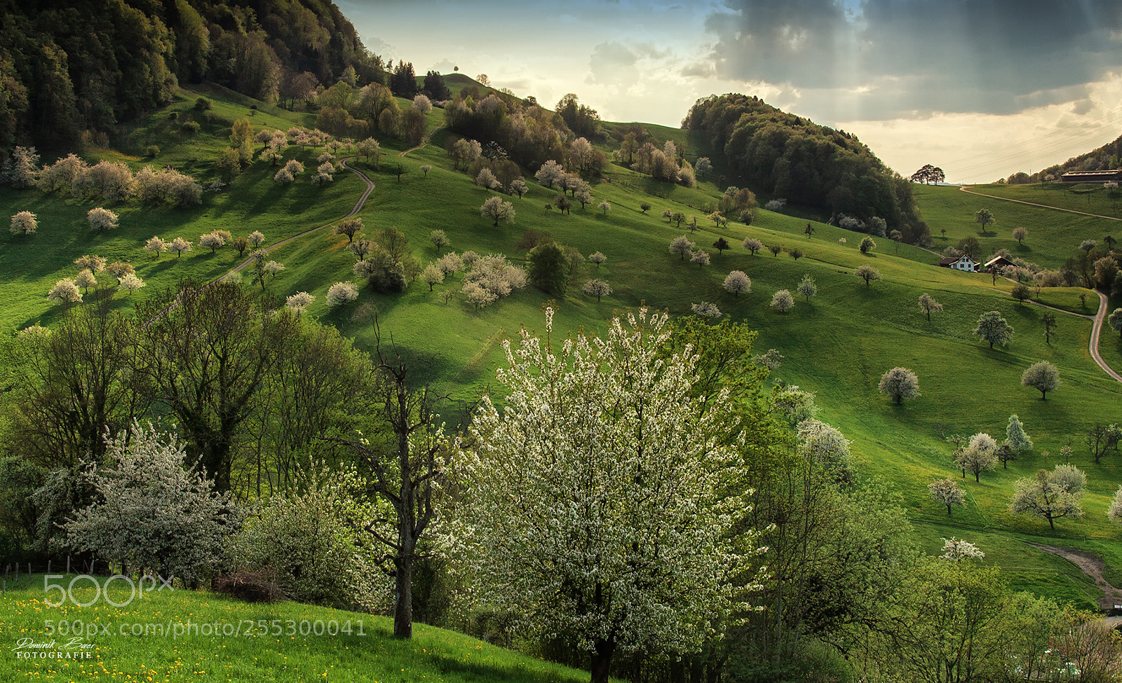 Canon EOS 5D Mark II sample photo. The hobbit garden photography