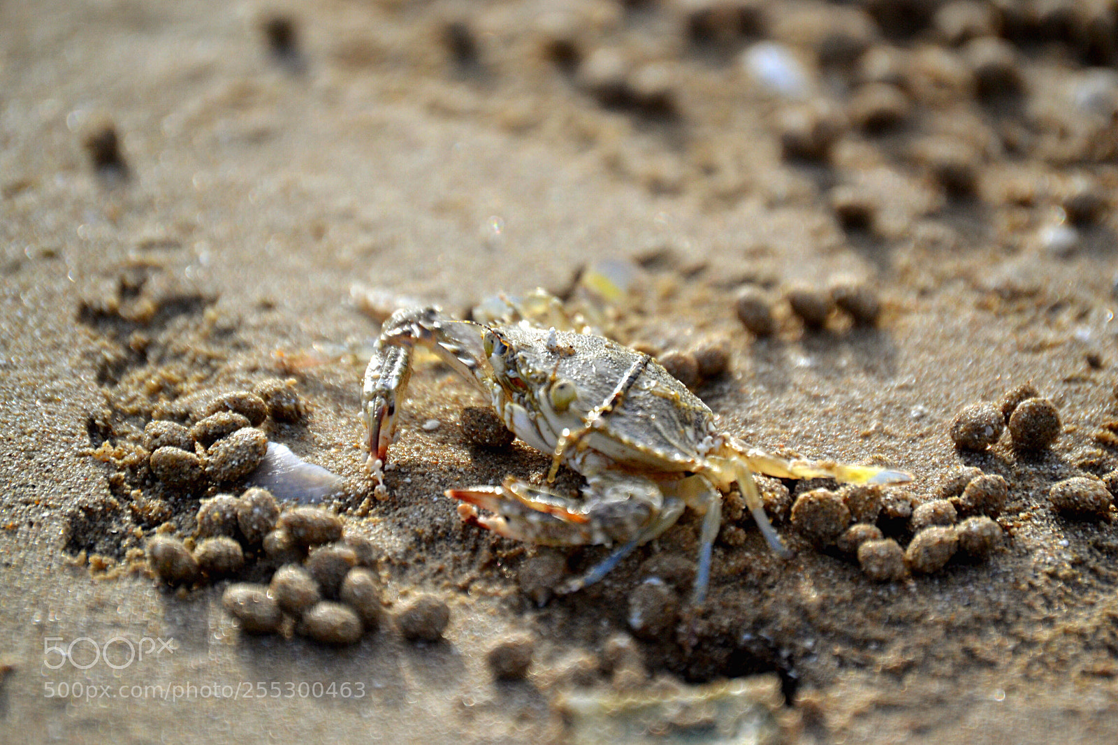 Nikon D3100 sample photo. Untitled photography