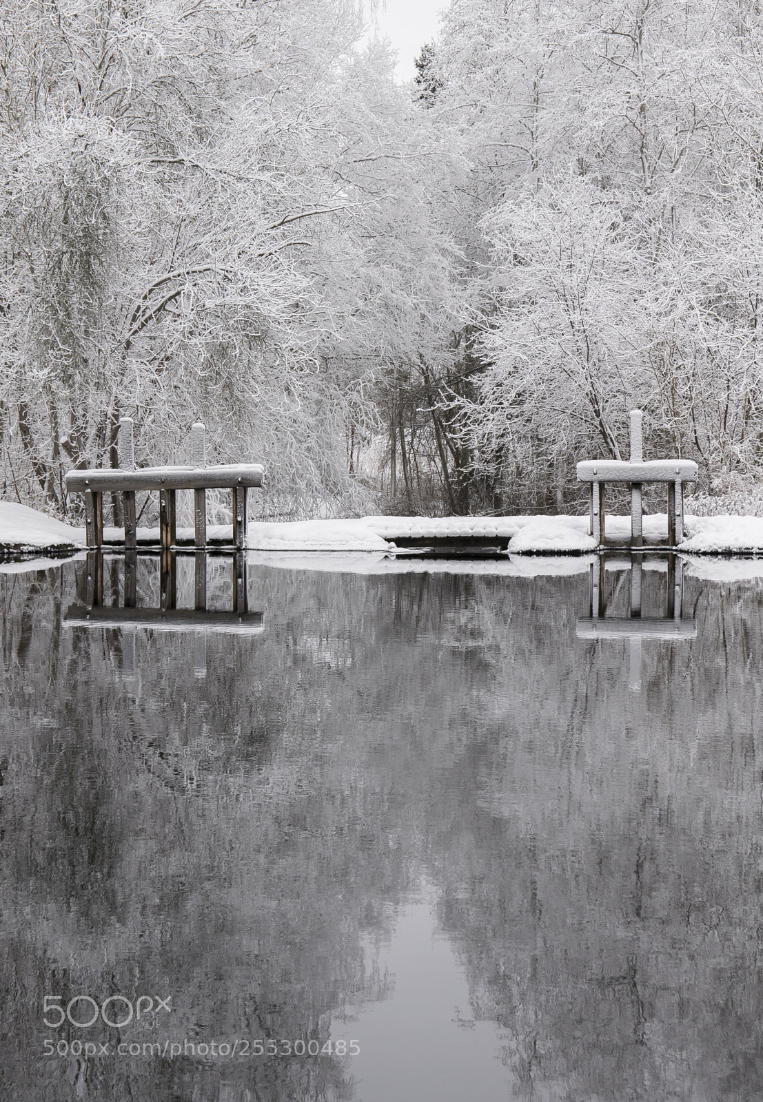 Nikon D5300 sample photo. Winter photography