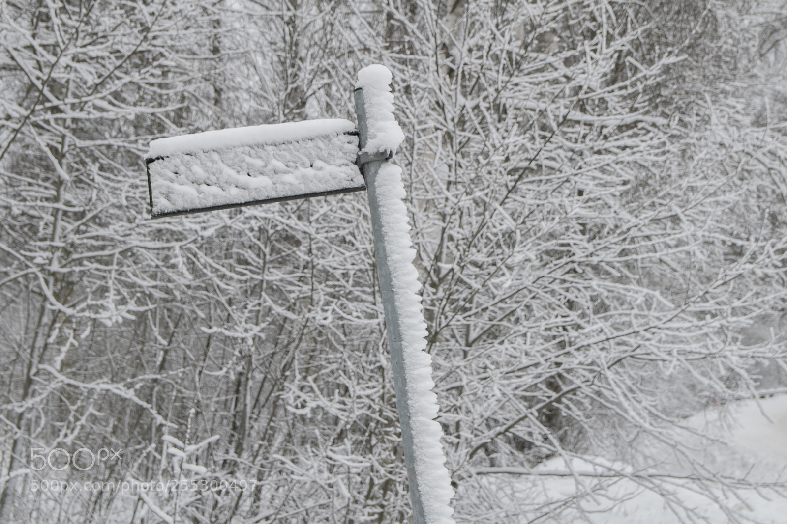 Nikon D5300 sample photo. Winter photography