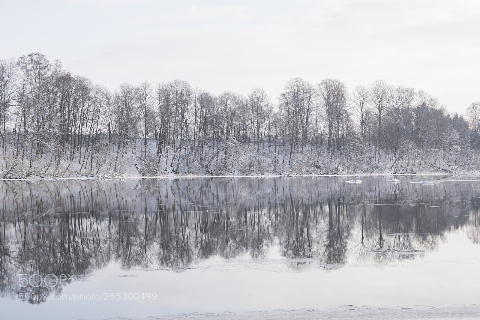 Nikon D5300 sample photo. Winter photography
