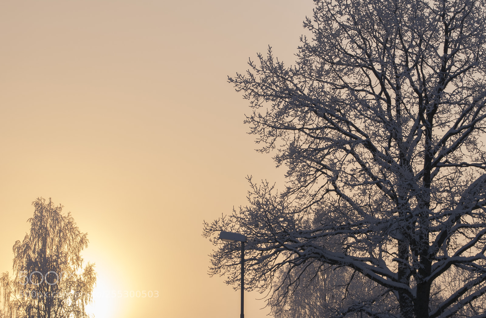 Nikon D5300 sample photo. Winter photography