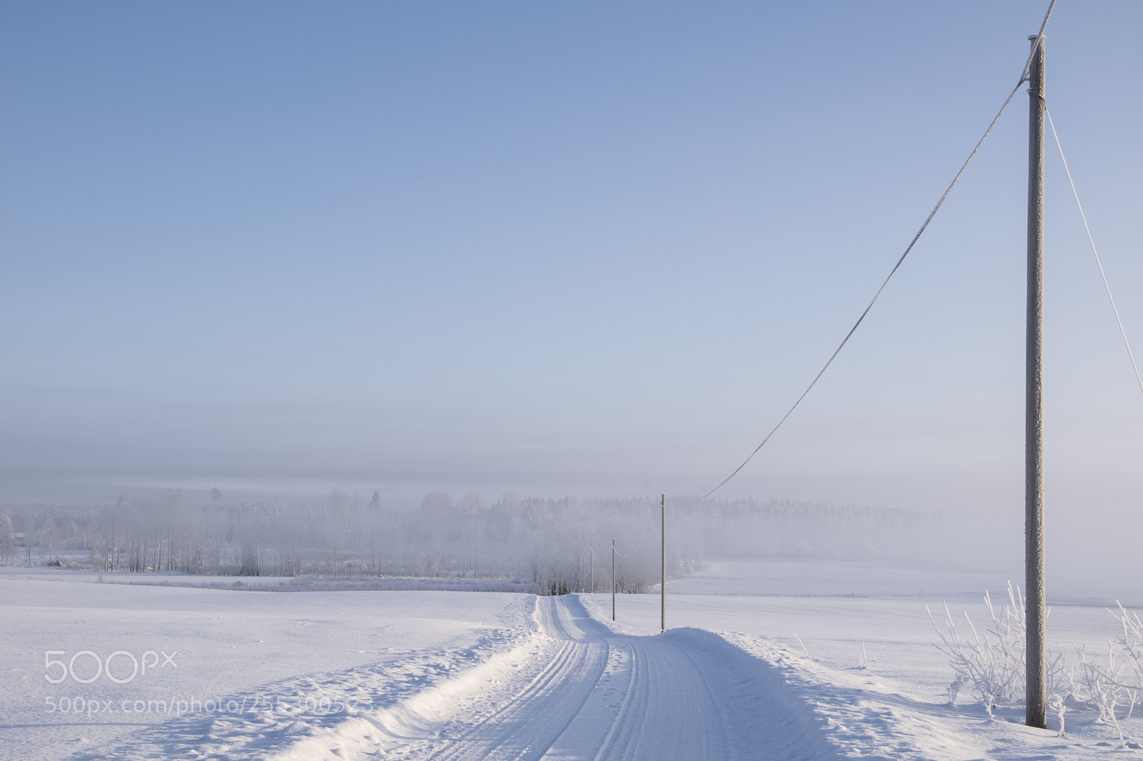 Nikon D5300 sample photo. Winter photography