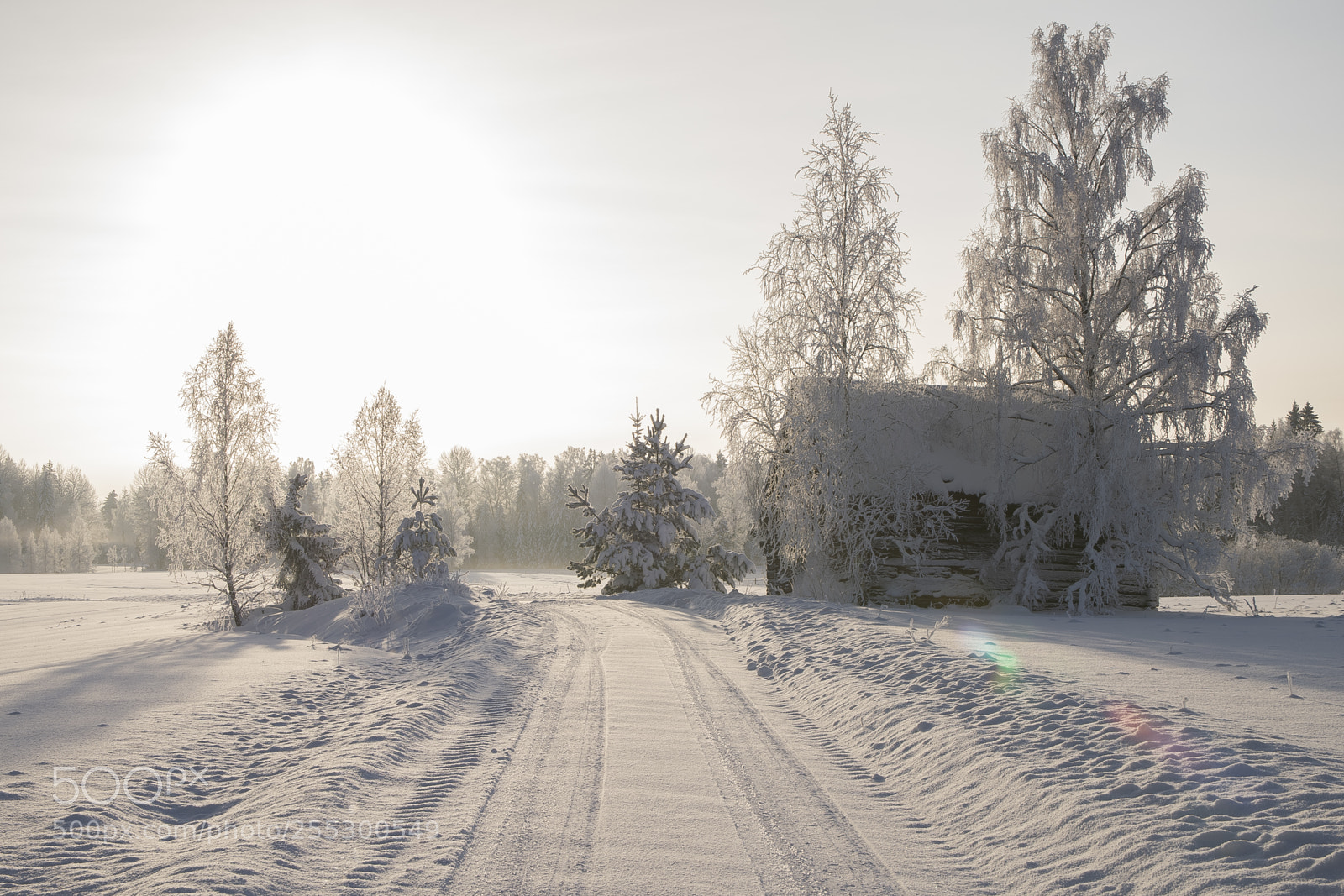 Nikon D5300 sample photo. Winter photography