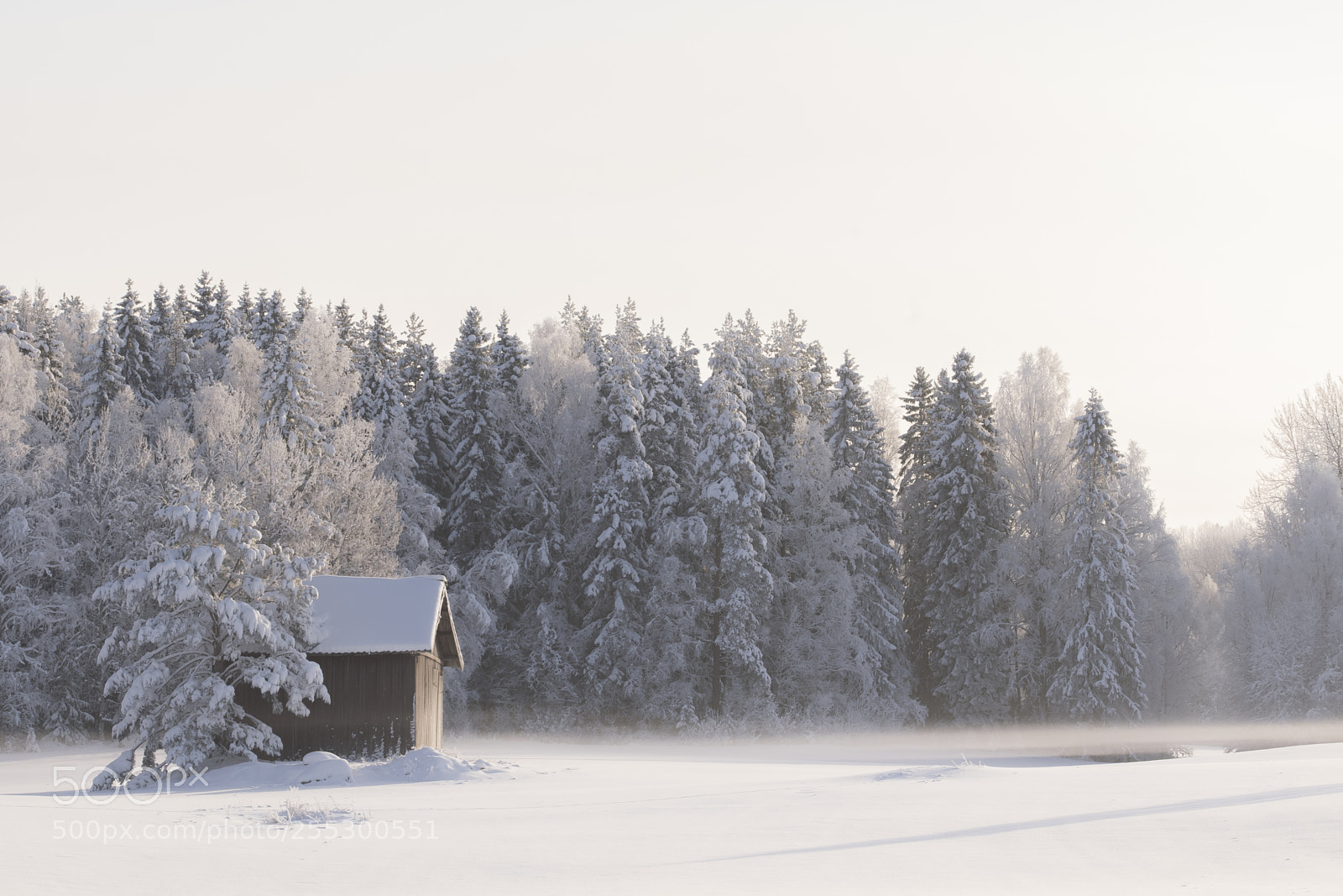 Nikon D5300 sample photo. Winter photography