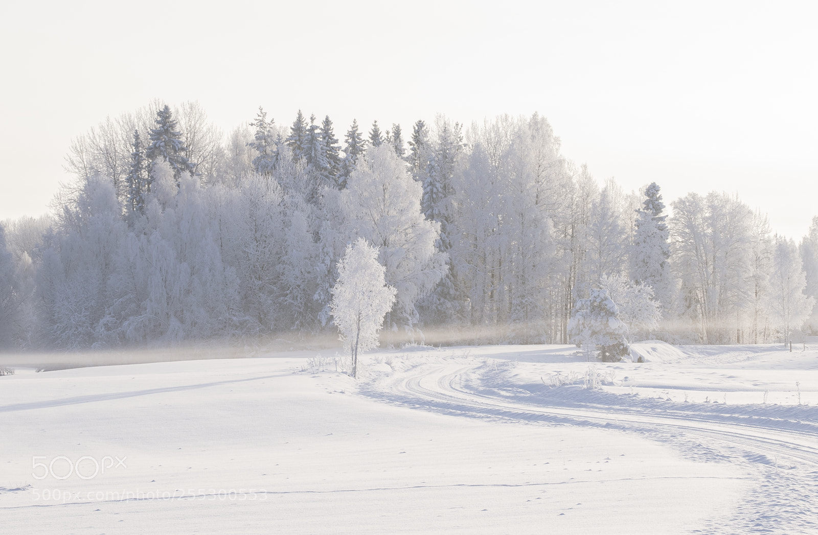 Nikon D5300 sample photo. Winter photography
