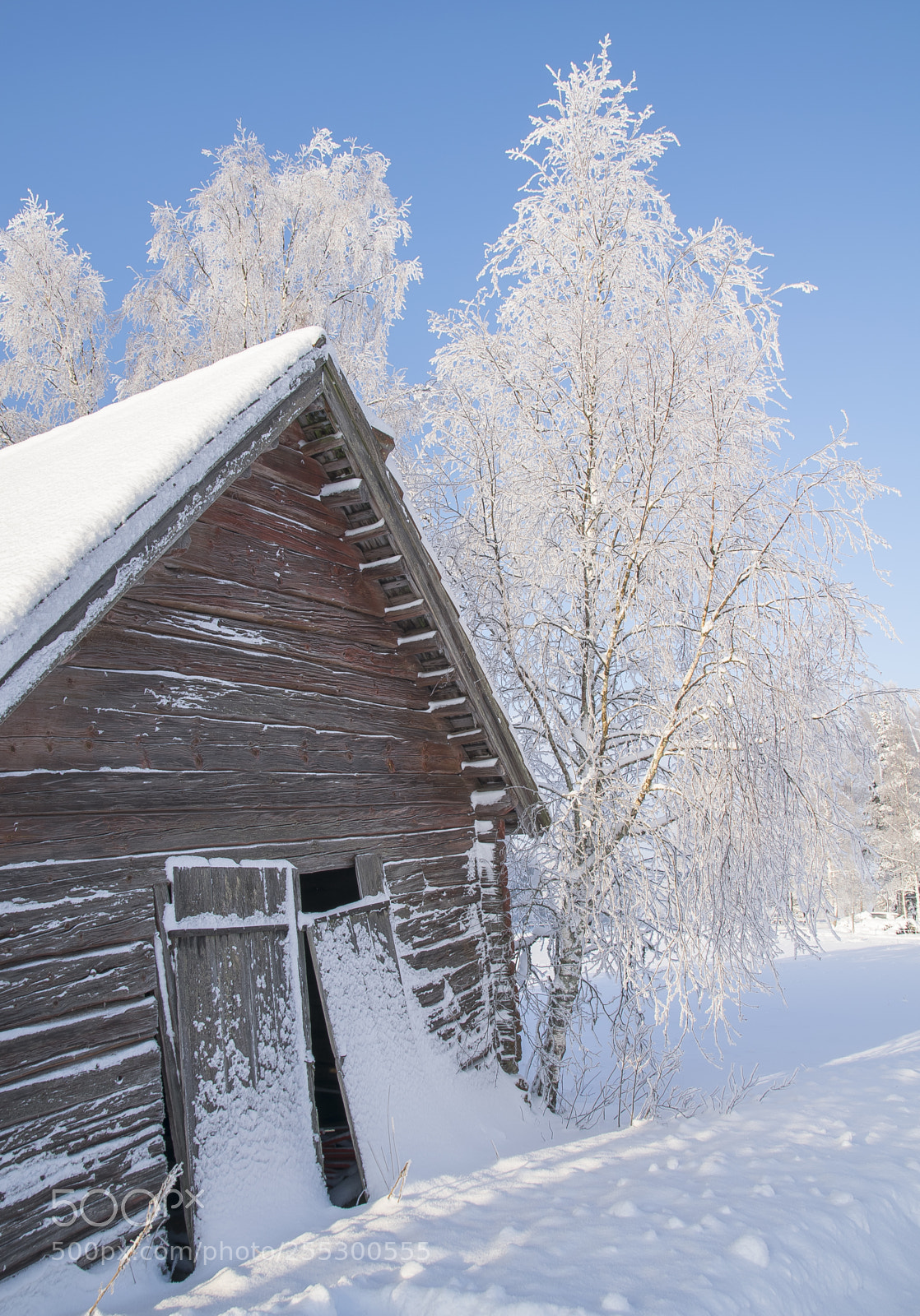Nikon D5300 sample photo. Winter photography