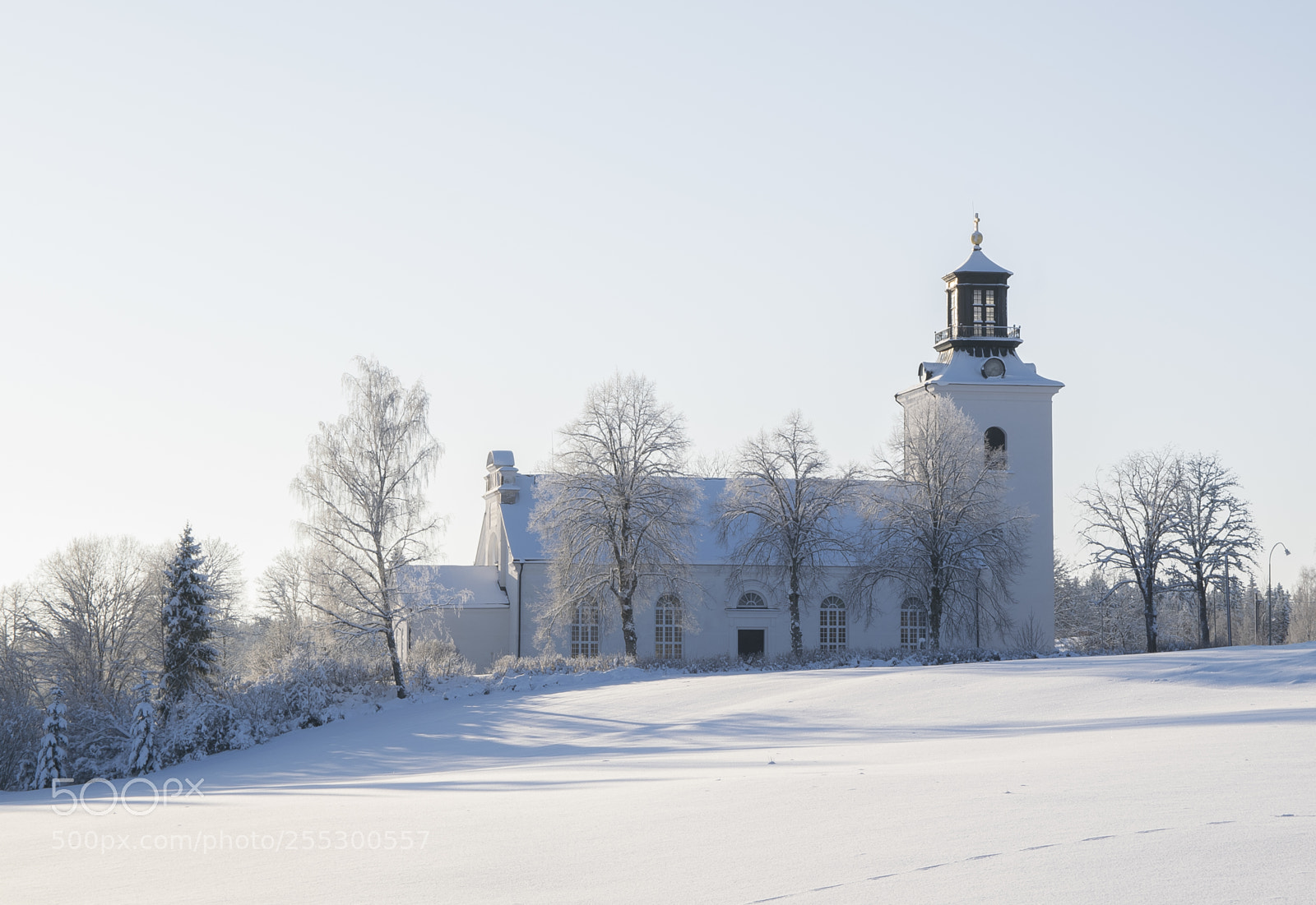 Nikon D5300 sample photo. Winter photography