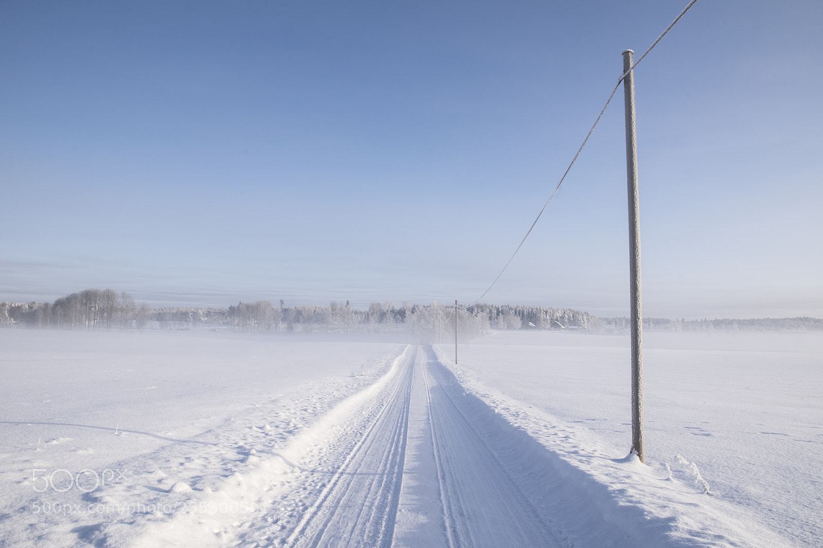 Nikon D5300 sample photo. Winter photography
