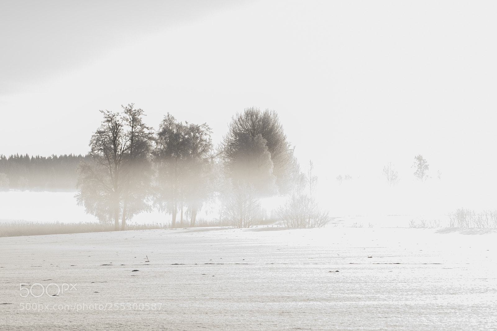 Nikon D5300 sample photo. Winter photography