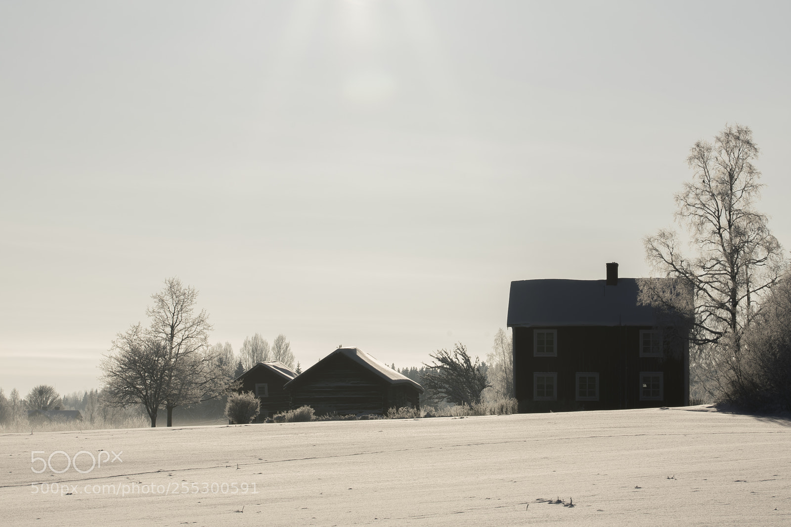Nikon D5300 sample photo. Winter photography