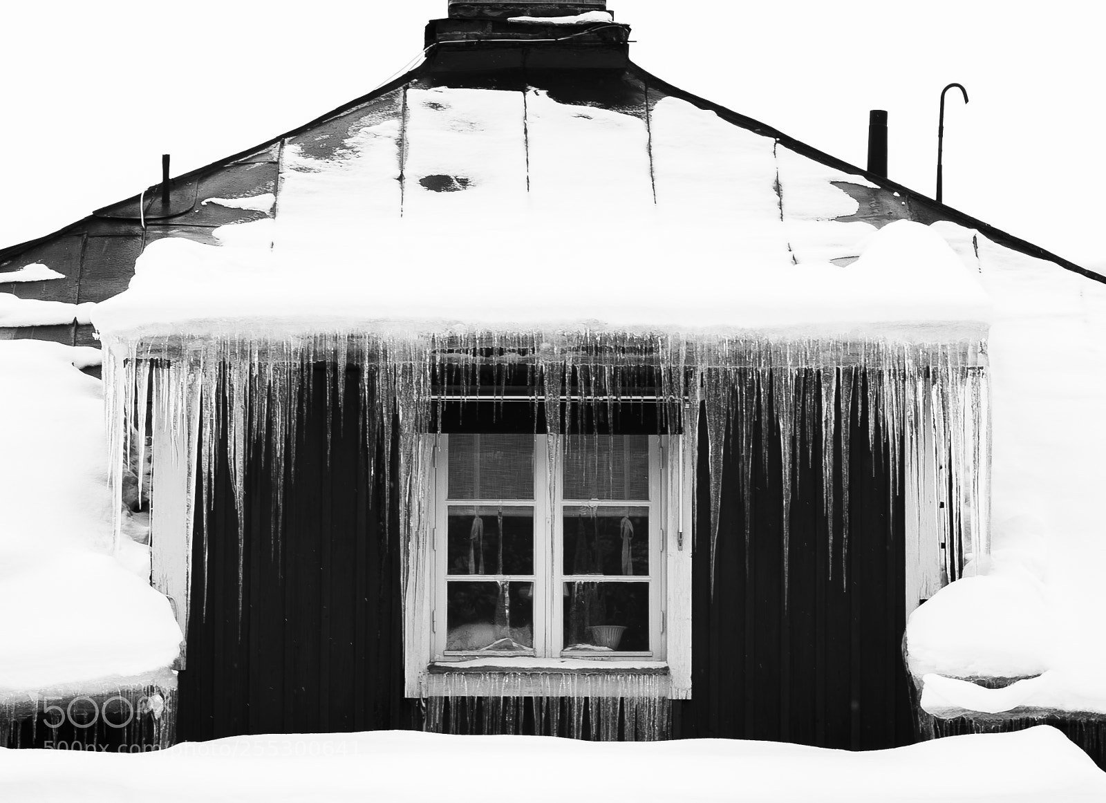 Nikon D5300 sample photo. Winter photography