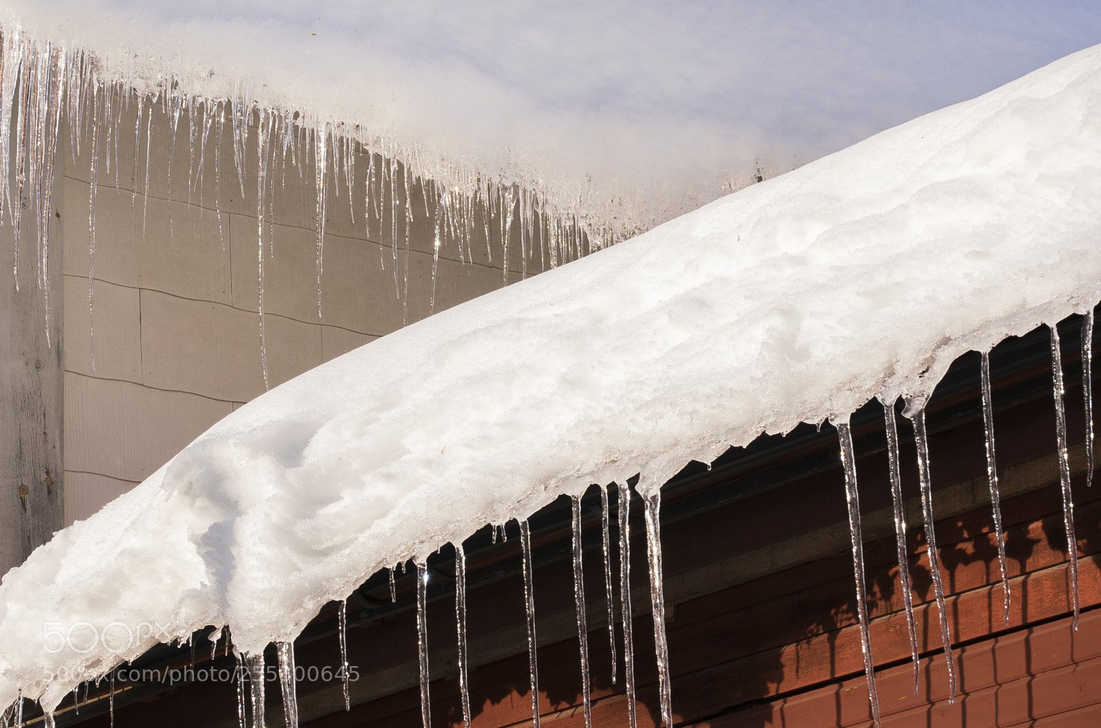Nikon D5300 sample photo. Winter photography