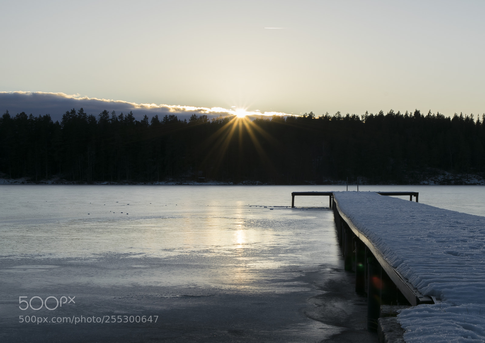Nikon D5300 sample photo. Winter photography