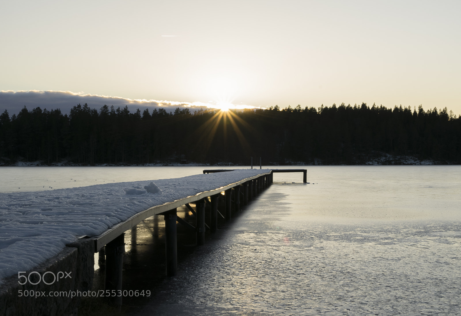 Nikon D5300 sample photo. Winter photography